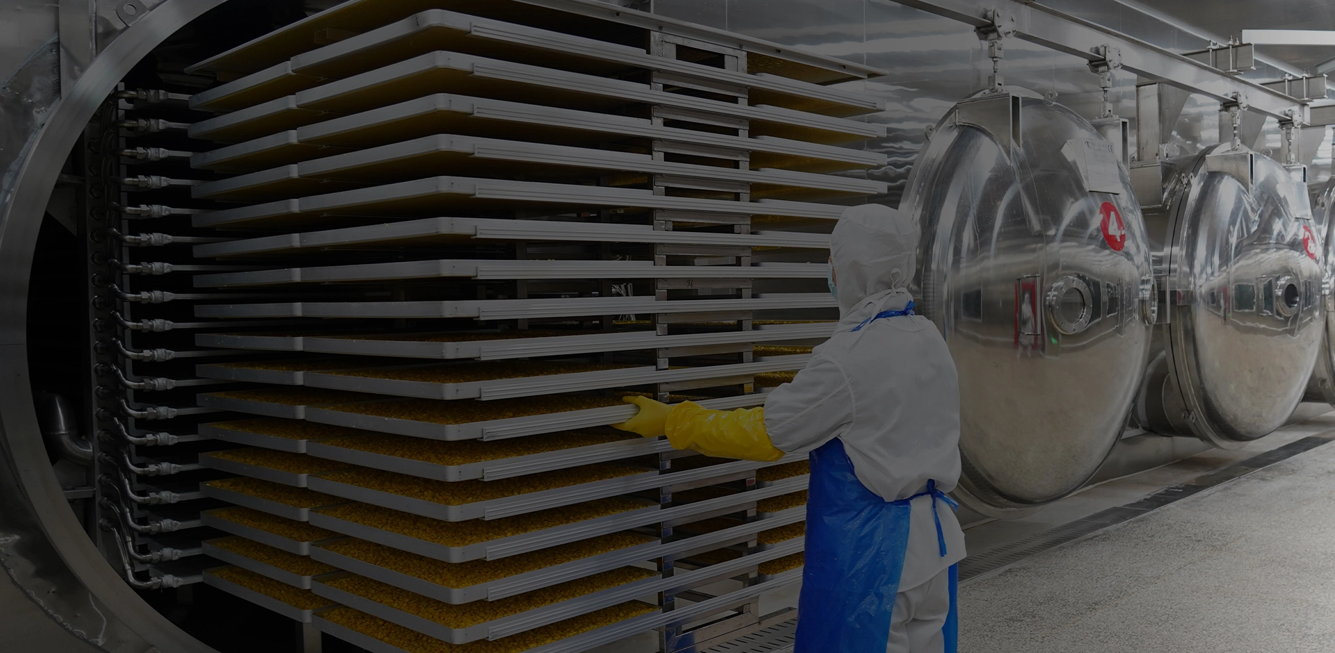 Vacuum Freeze Drying Equipment