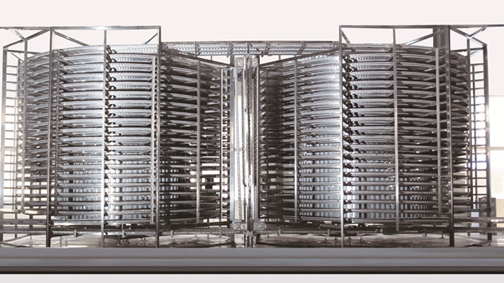 IQF Machine