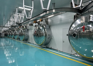 Freeze-Drying Equipment for Pet Treats