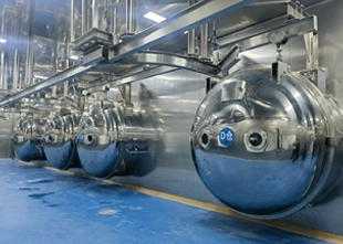 Fruit and Vegetable Freeze-Drying Equipment