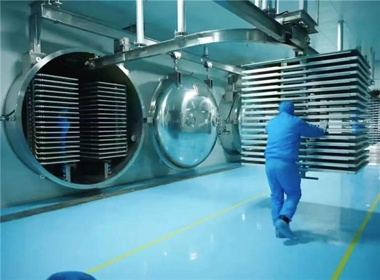 Weishi Biological Pet Food Freeze-Drying and Workshop Air Conditioning Project