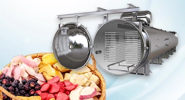 Fruit and Vegetable Freeze-Drying Equipment