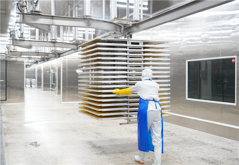 Pet Food Freeze-Drying Equipment