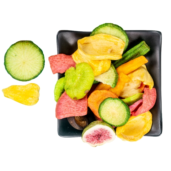 vacuum-freeze-drying-machine-price