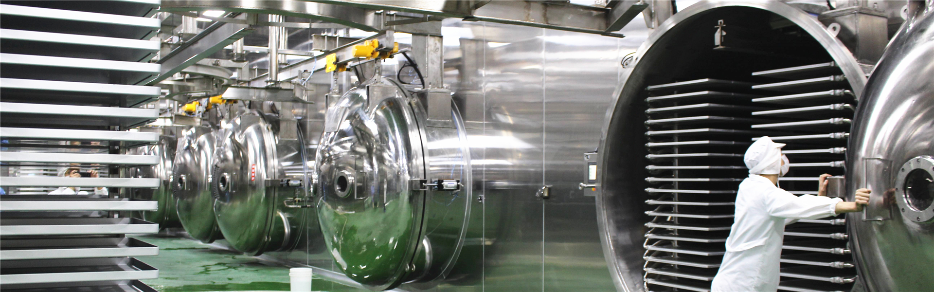 Pet Food Freeze-Drying Equipment