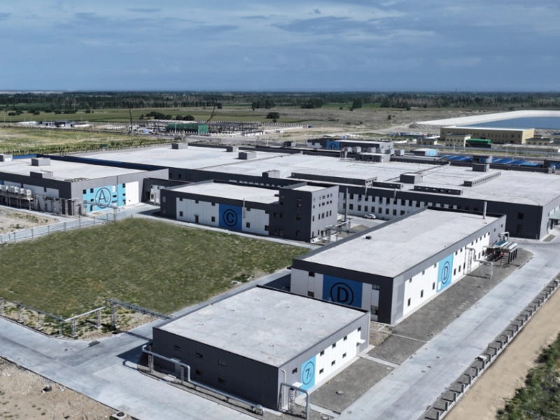 freeze-dried-processing-equipment