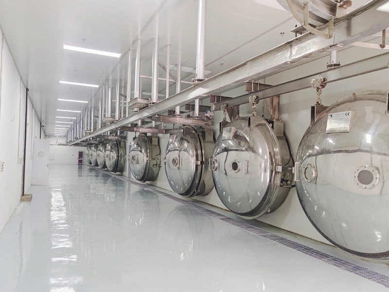 freeze-dryer-in-food-industry