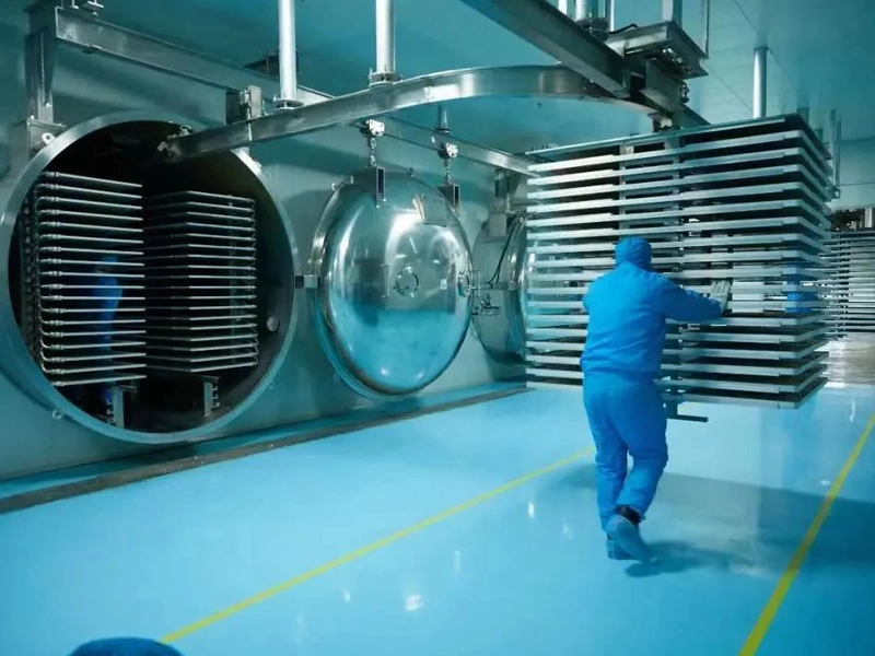 freeze-dryer-machine-price