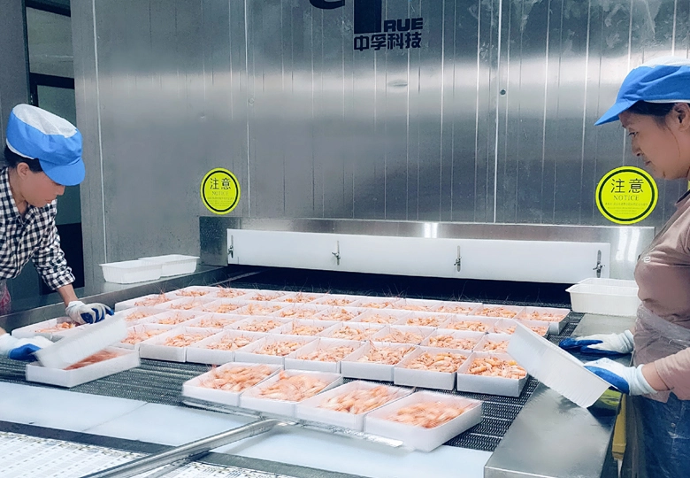 Net Belt Quick Freezer