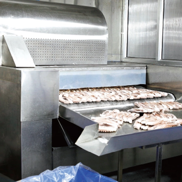 iqf-spiral-freezer