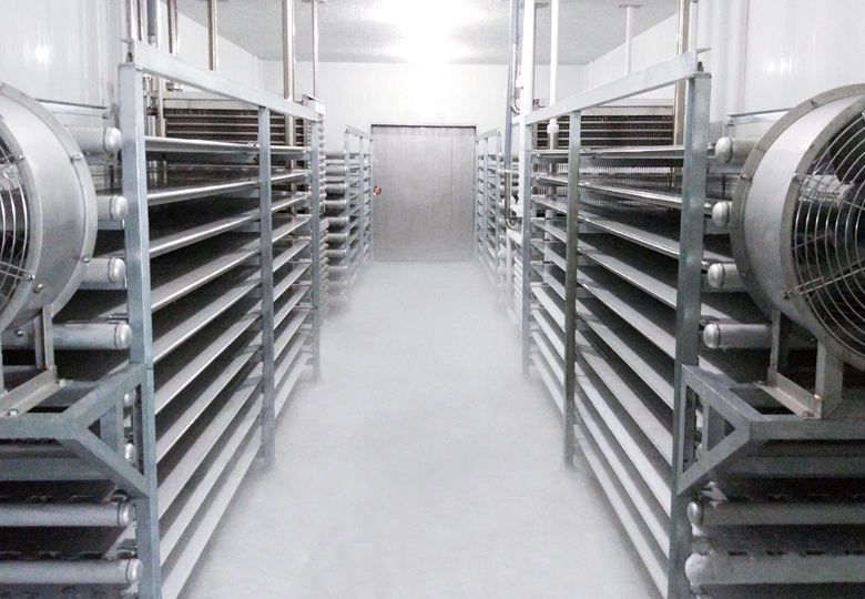 Shelf Plate Freezer