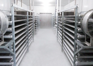 Shelf Plate Freezer