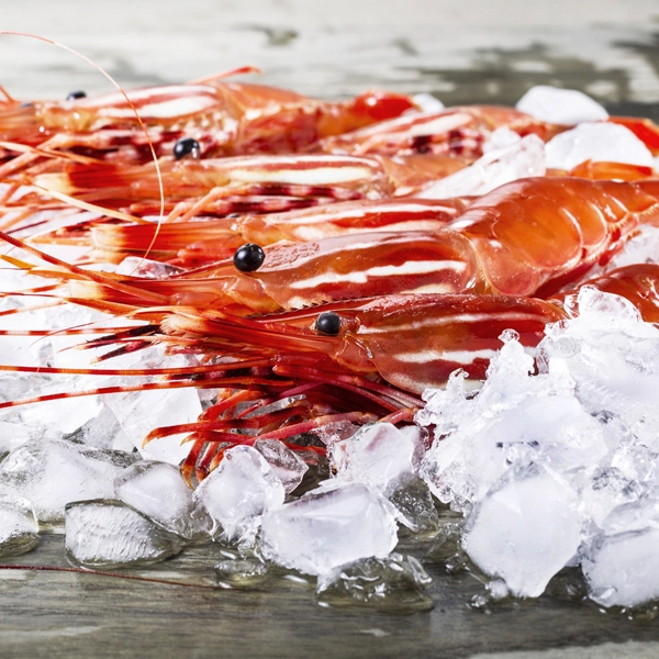 salt-water-spray-freezing-device-price