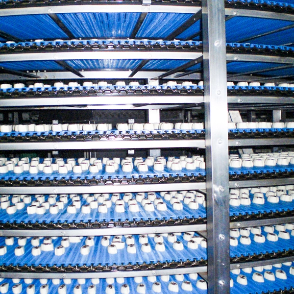 gear-drinen-spiral-quick-freezer-supplier