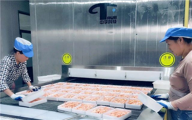 Optimize Production Efficiency Using an IQF Machine