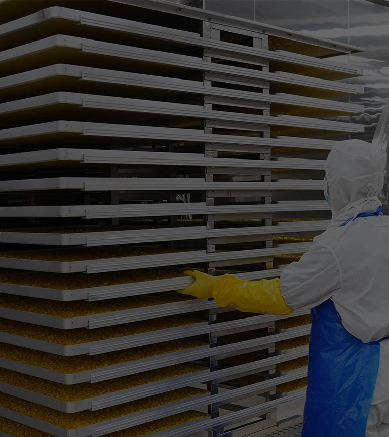 Vacuum Freeze Drying Equipment