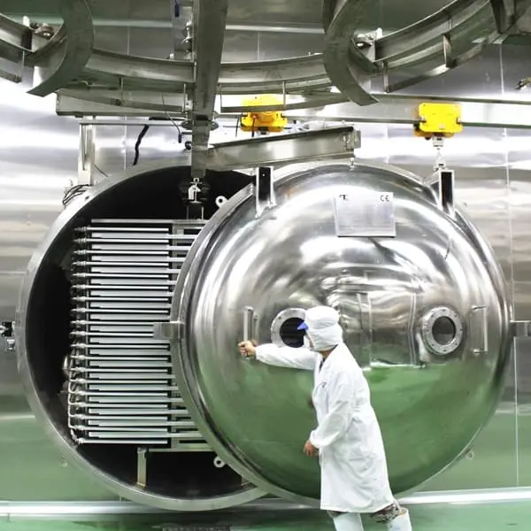 fruit-freeze-dryer-machine