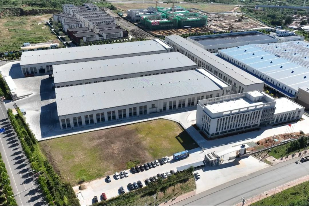 Why Partner with True Cold Chain for Food Freeze Dryers?